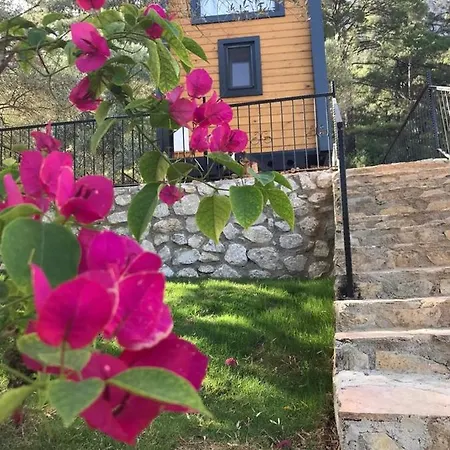 Haydi Tiny Haus Dom wakacyjny Akyaka (Mugla)